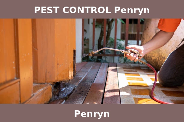 PEST CONTROL Penryn